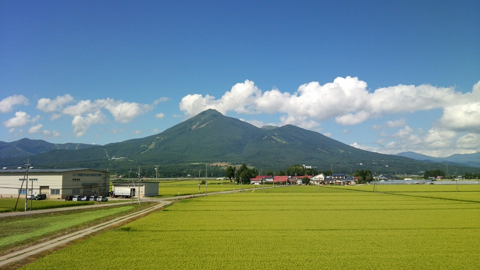 急遽仕事で福島県のいわき市に行きました。