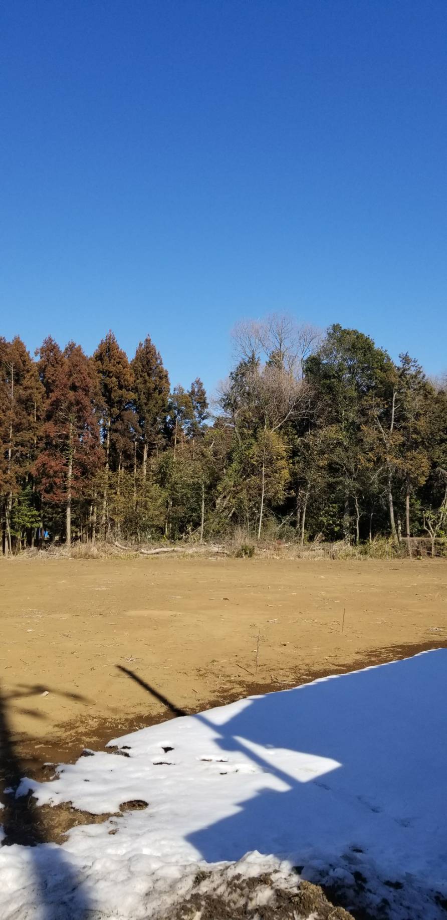 ２月は誓願の祈りでスタート！：池田先生のご指導　祈り６