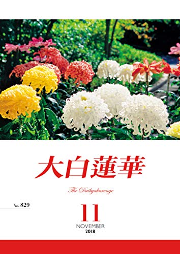 第123回南三和支部・先駆の日　1１月号大白蓮華　御書講義　（文責：島幸弘）