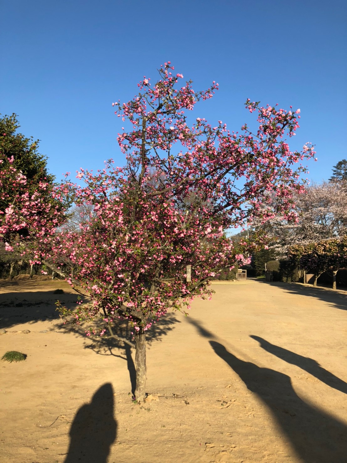 大悪おこれば大善来る