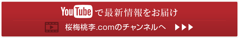 桜梅桃李.comのチャンネルへ